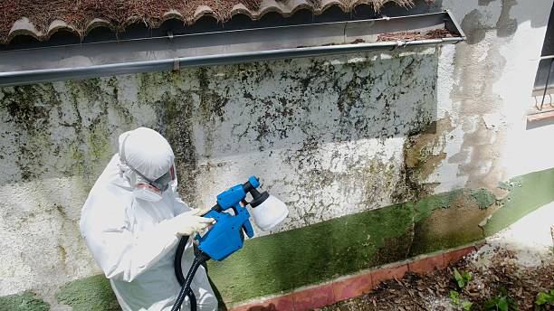 Trusted Commercial Mold Remediation service in West Point, NY - Cheap Mold Removal